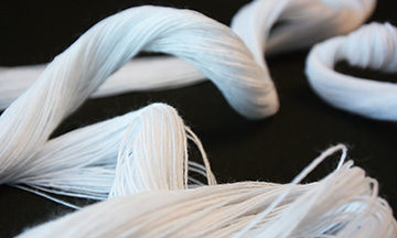 Fioretto di cotone
