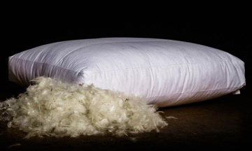 Natural down cushion with cotton cover